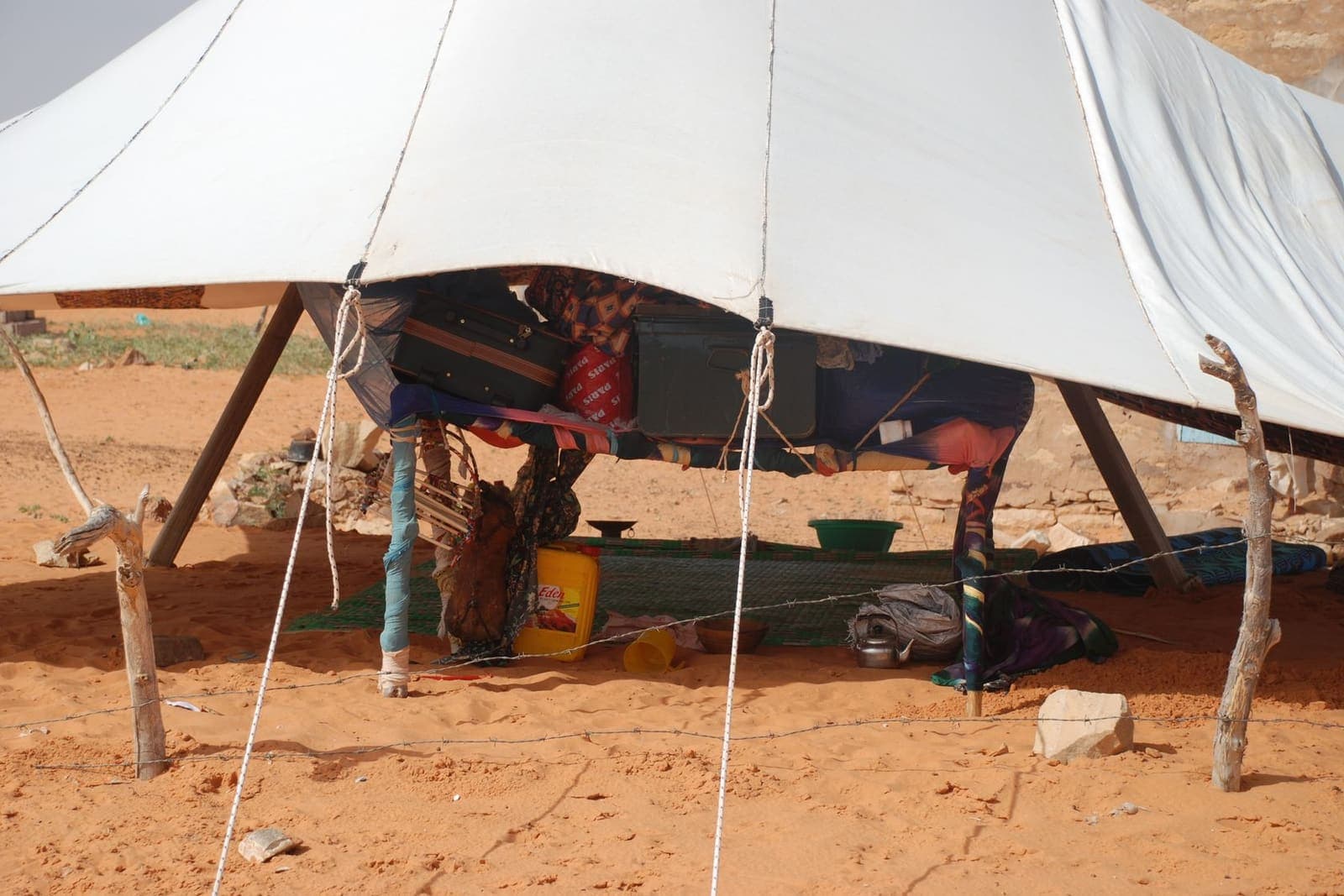 Field solidarity campaign